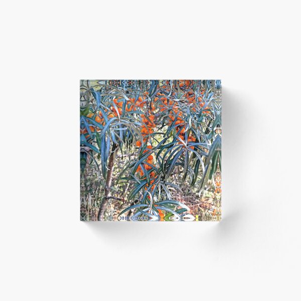 Item preview, oblepikha, sea buckthorn, nature berry designed and sold by natoly.