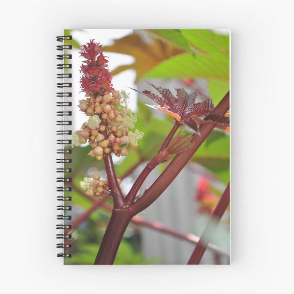 Item preview, Color of nature designed and sold by mltrue.