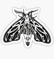 Death's-head Moth Sticker