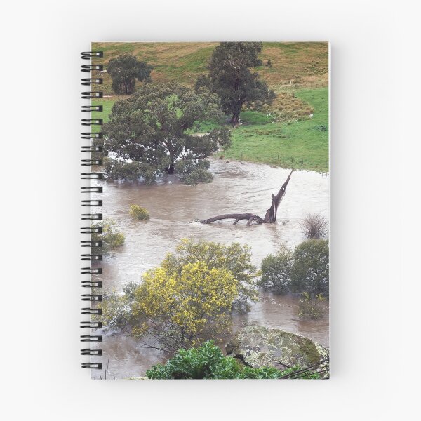 Item preview, Romsey - Deep Creek in Flood  designed and sold by Michelle Thompson.