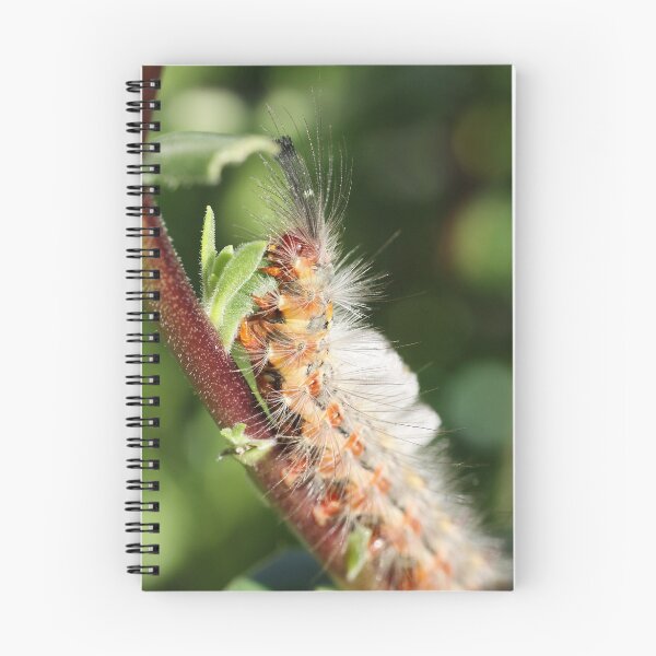 Item preview, Munching out designed and sold by TMphotography.