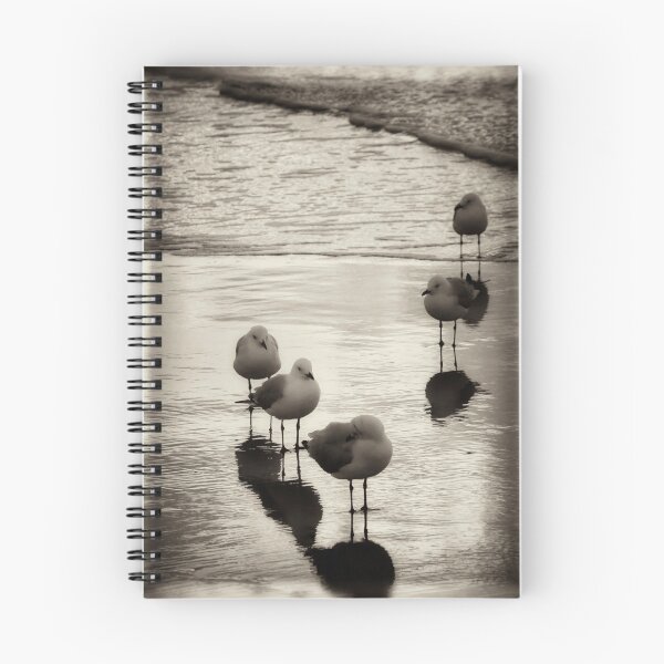 Item preview, Silver Gulls on the beach designed and sold by Darsana.