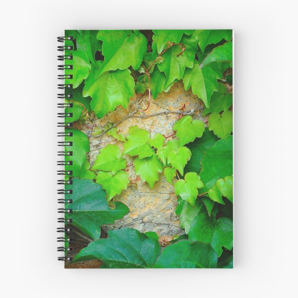 Item preview, young branches (shoots) ivy designed and sold by Sergieiev.