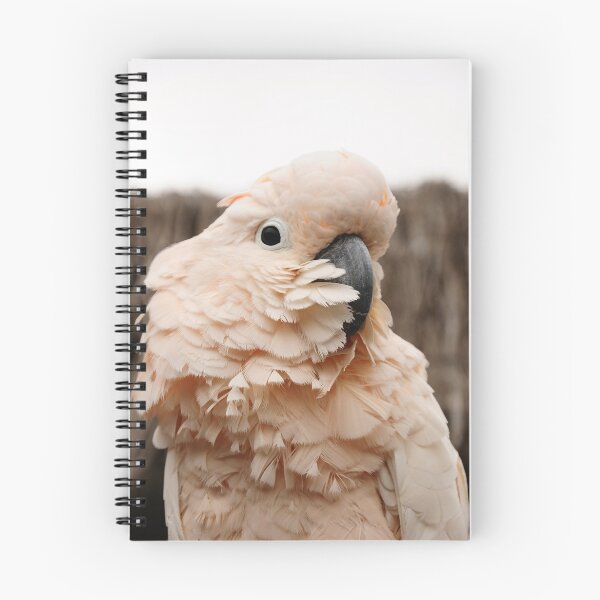 Item preview, The bird is the word... designed and sold by Liam Galvin.