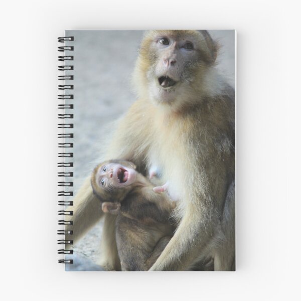 Item preview, Barbary Macaque with baby designed and sold by DutchLumix.