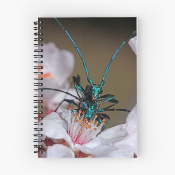 Item preview, Emerald Longhorn beetle  designed and sold by Etwin.
