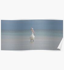 Untitled Poster