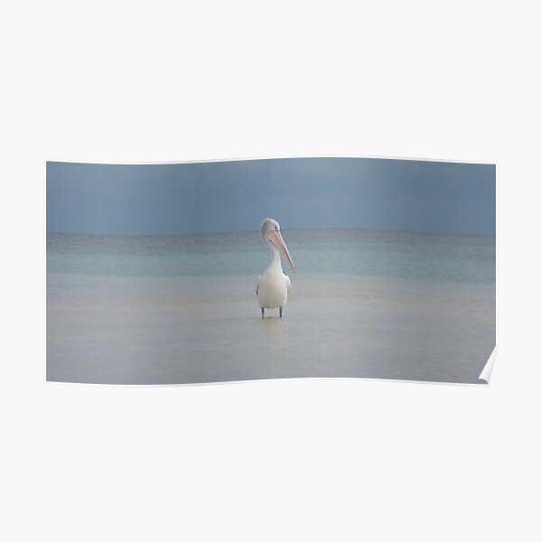 Untitled Poster