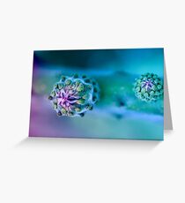 Cactus Greeting Card
