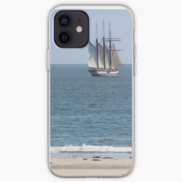 Pirates in the Harbor! iPhone Soft Case