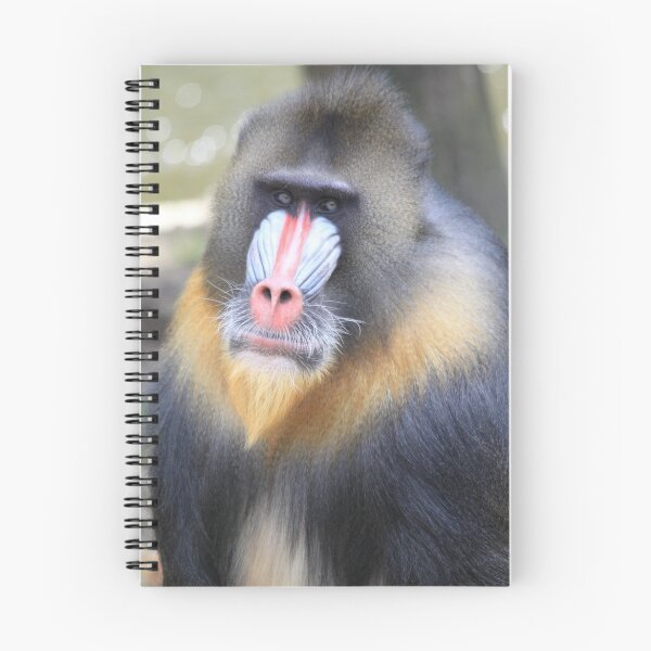 Item preview, Mandrill (Mandrillus sphinx) designed and sold by DutchLumix.