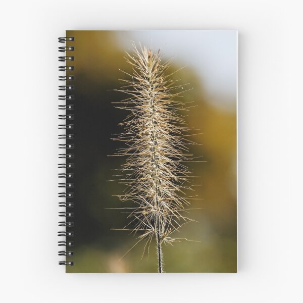 Item preview, Inflorescence designed and sold by Tim Devine.