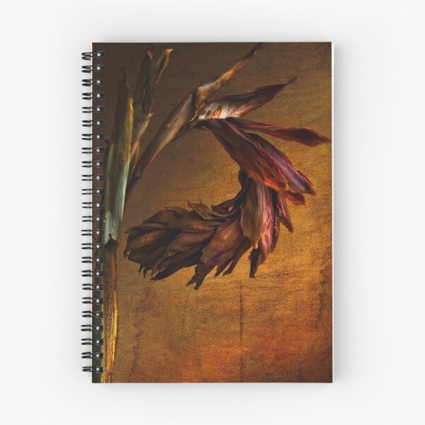 Item preview, Catching The Light designed and sold by pat gamwell.