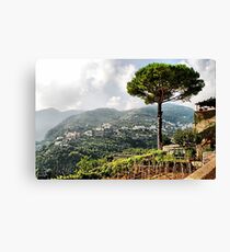 Vineyard in Ravello Canvas Print