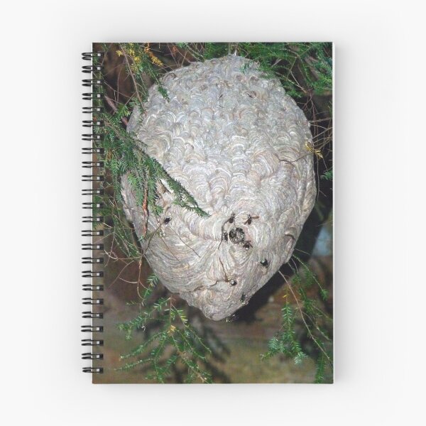 Item preview, HUGE Hornets nest! designed and sold by Marcia Rubin.