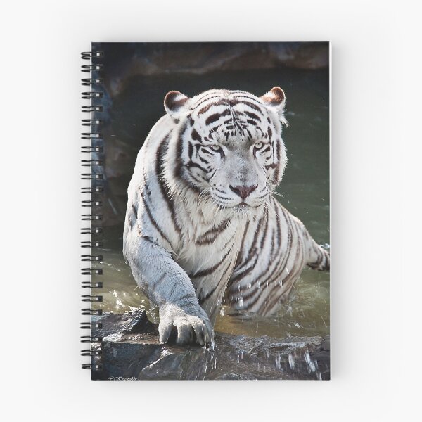 Item preview, My One and Only Tiger I designed and sold by Christine Kradolfer.