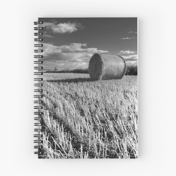 Item preview, Hay Bale designed and sold by KitDowney.