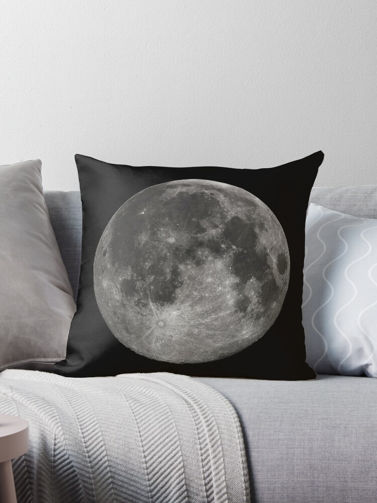 https://ih1.redbubble.net/image.685831772.6302/throwpillow,medium,750x1000-bg,f8f8f8.u9.jpg