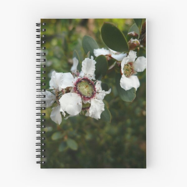 Item preview, NL8/2010 Gum Blossoms designed and sold by beeden.