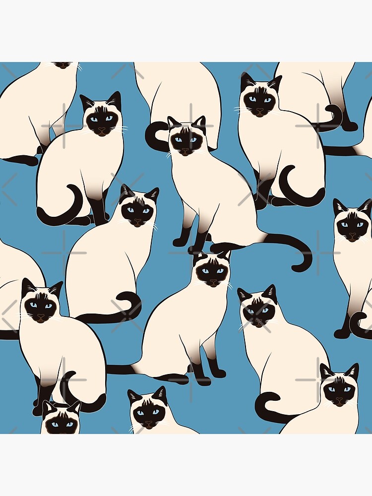 Siamese Cats Looking At You by nadyanadya