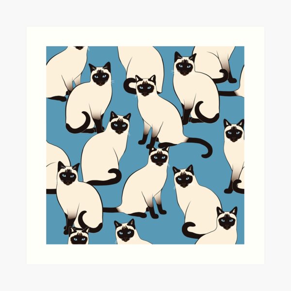 Siamese Cats Looking At You Art Print