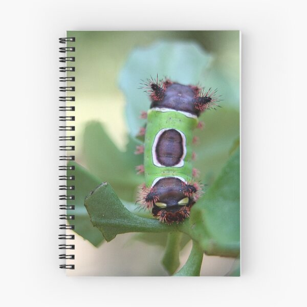 Item preview, Saddleback Caterpillar designed and sold by RebeccaBlackman.