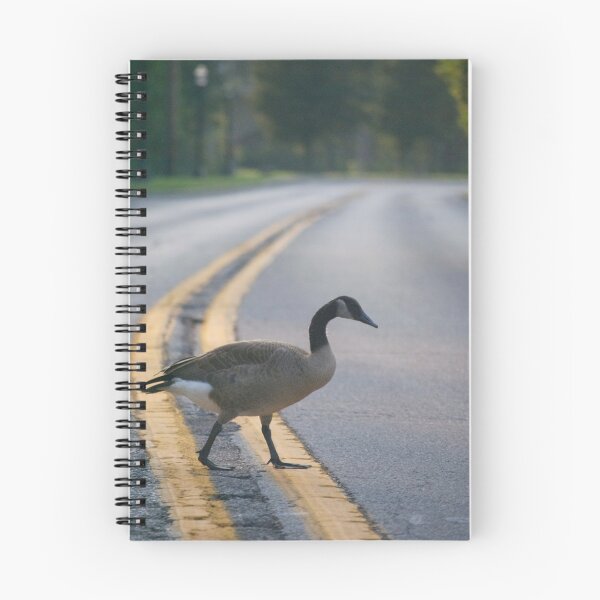 Artikelvorschau, why did the goose cross the road? entworfen und verkauft von Mark de Jong.