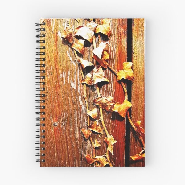 Artikelvorschau, Old door & Ivy entworfen und verkauft von buttonpresser.