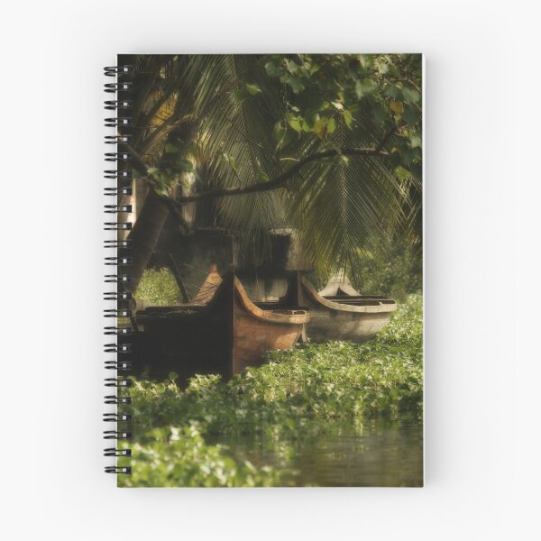 Aperçu de l'œuvre Canoes créée et vendue par PeterDamo.