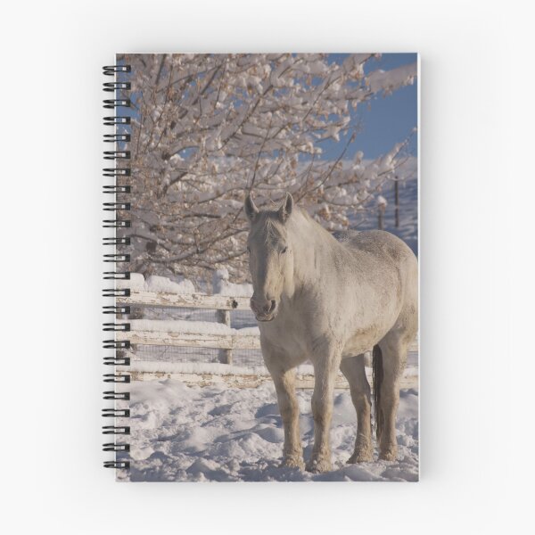 Artikelvorschau, Where is the horse? entworfen und verkauft von UILFineArts.
