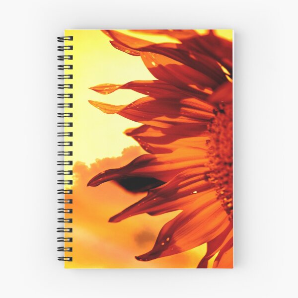 Item preview, Sunflower  designed and sold by Declan Carr.