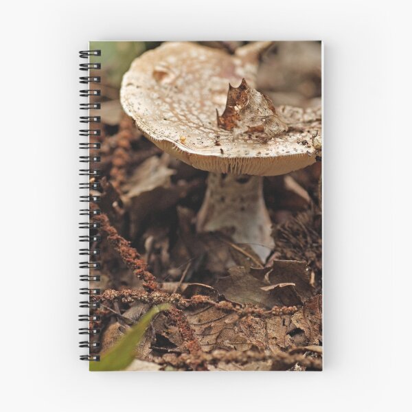 Artikelvorschau, Toadstool entworfen und verkauft von orion976.