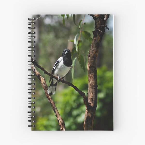 Item preview, pied butcherbird iii designed and sold by gary roberts.