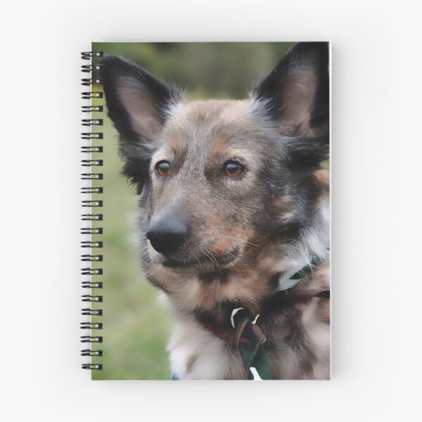 Item preview, Firecracker designed and sold by SamTheCowdog.