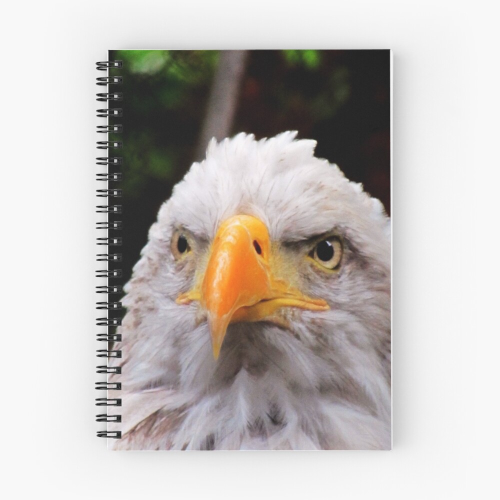 Item preview, Spiral Notebook designed and sold by shutterbug2010.