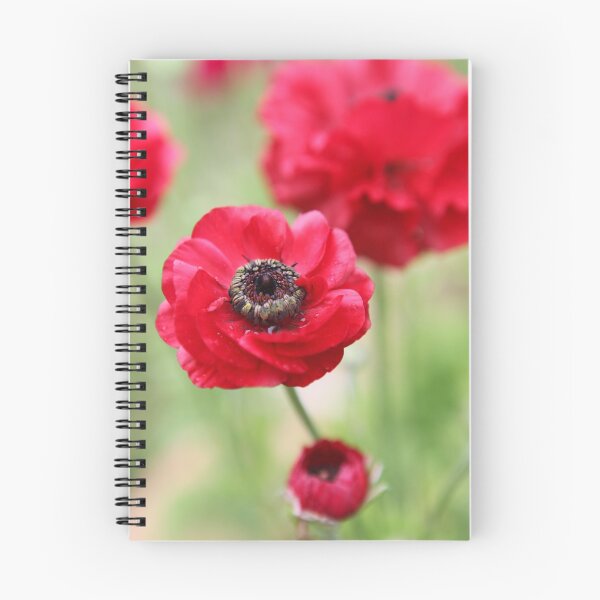 Item preview, Dramatic is a good thing.  designed and sold by Nina  Matthews Photography.