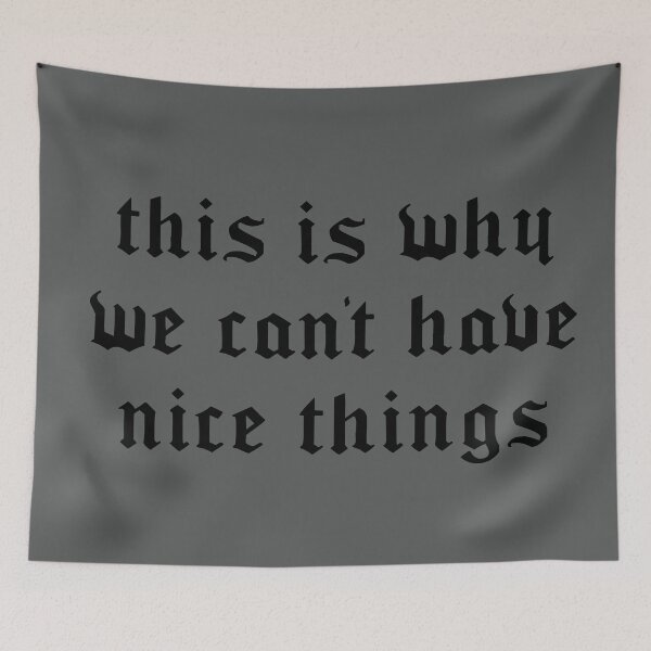 Item preview, this is why we can't have nice things designed and sold by KaiDee.