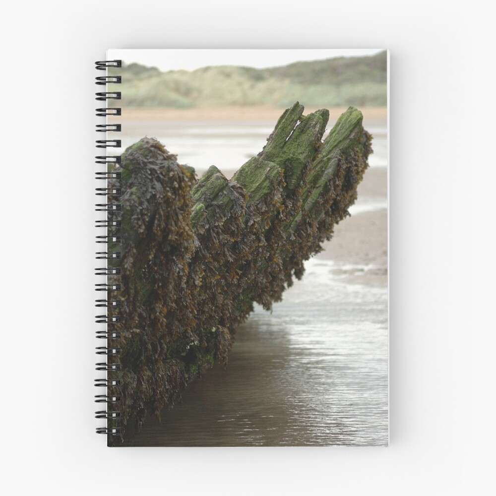 Vista previa del artículo con la obra «Cuaderno de espiral», diseñado y vendido por ReesAdams.