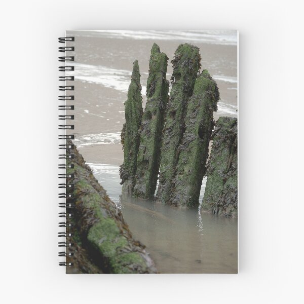 Item preview, Wreck X designed and sold by Rees Adams.