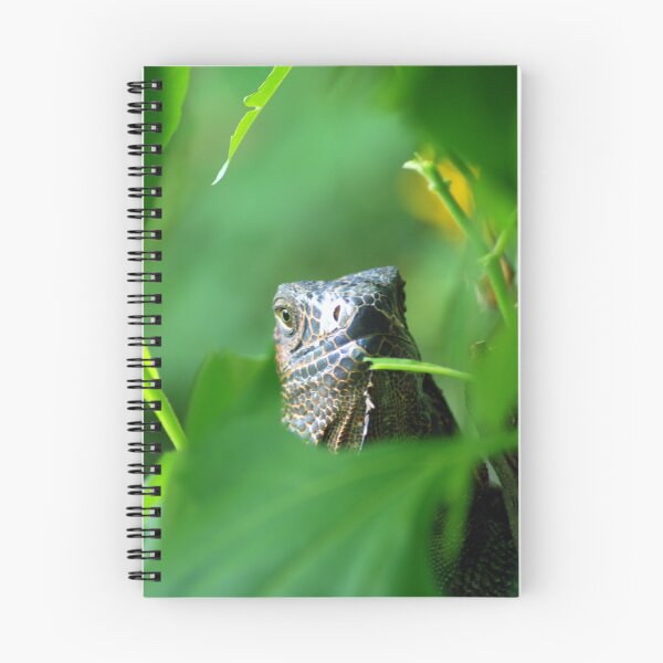 Item preview, Antigua Iguana Verde - Costa Rica designed and sold by Jason Weigner.