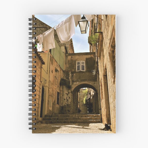 Item preview, Cat in alley with laundry designed and sold by abuller.