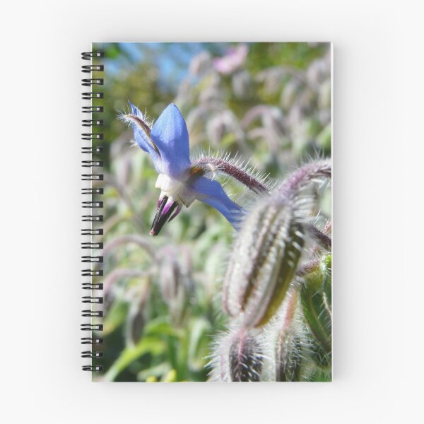 Item preview, borage flower designed and sold by tego53.