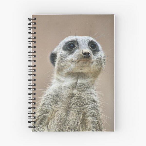 Item preview, Who's Looking At Me Then? designed and sold by Sandra Cockayne.