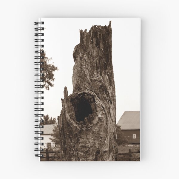 Item preview, Stumped designed and sold by JLPPhotos.
