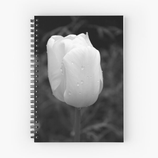 Item preview, Tulip Tantrum designed and sold by JLPPhotos.