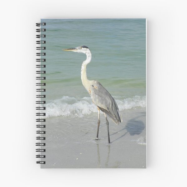 Item preview, Great Blue Heron at the Beach designed and sold by Caren.