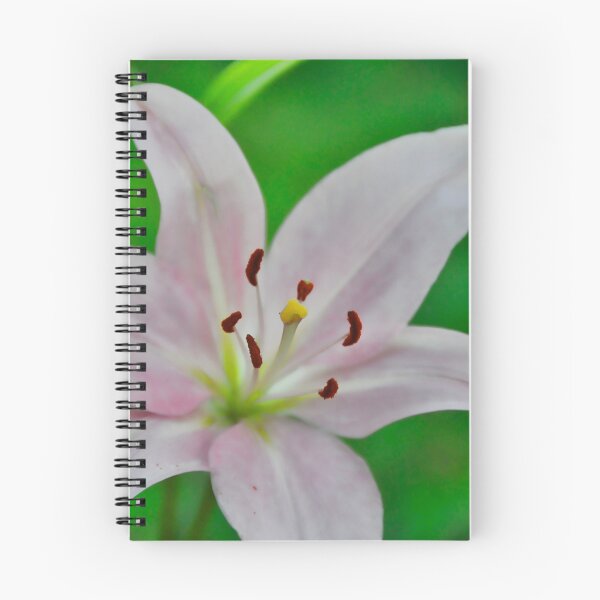 Item preview, "Simplified"  designed and sold by Saija  Lehtonen.