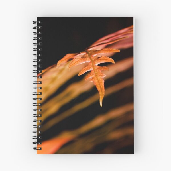 Item preview, Fern designed and sold by Derek Byrne.