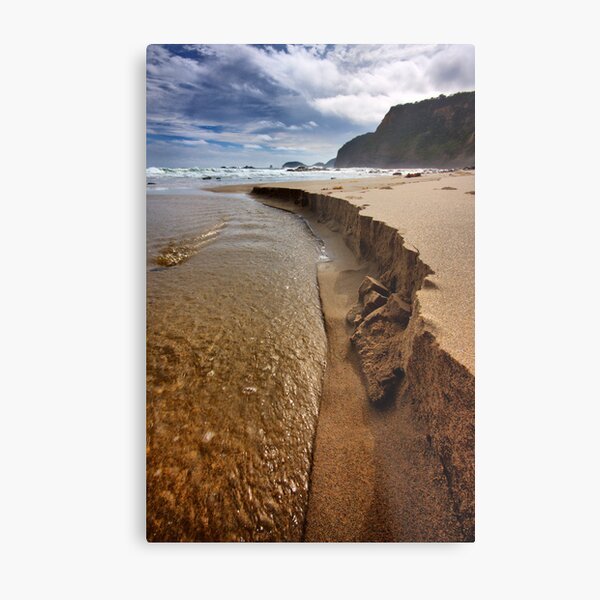 Metal Print