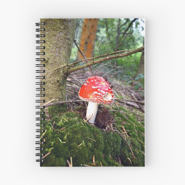 Item preview, Death in the woods designed and sold by David Meacham.